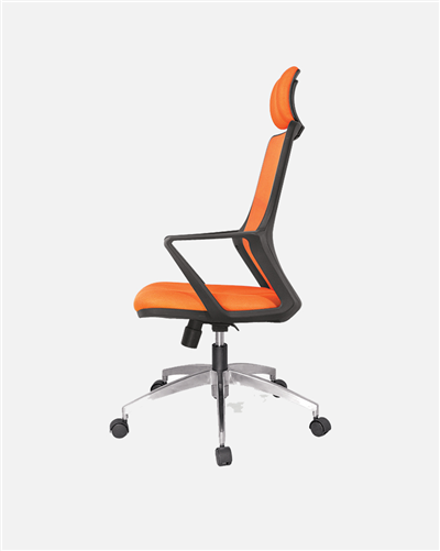 Office Chair L17-GX307HK(S5)